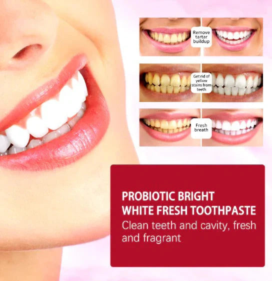 Modella™Sp-4 Toothpaste